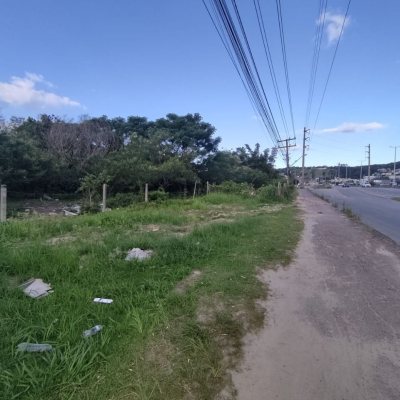 Terreno Comercial/Residencial com 2829m², no bairro Vargem Grande em Florianópolis