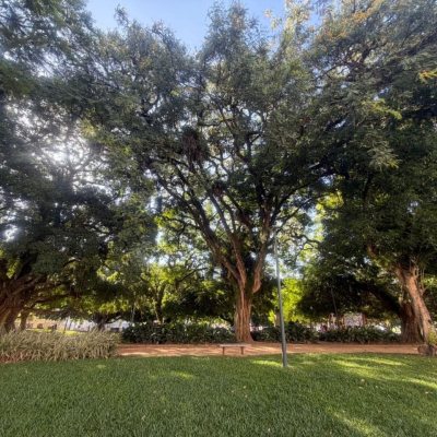 Apartamentos com 78m², 3 quartos, 1 suíte, 1 garagem, no bairro Centro em Florianópolis