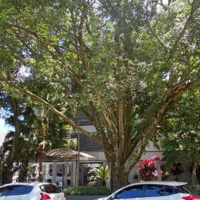 Apartamentos com 100m², 2 quartos, 1 suíte, 1 garagem, no bairro Itacorubi em Florianópolis