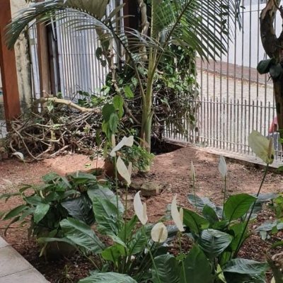 Casa Residencial com 220m², 5 quartos, 2 suítes, 2 garagens, no bairro Itaguaçu em Florianópolis