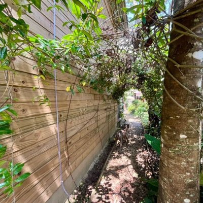 Casa Residencial com 80m², 3 quartos, 4 garagens, no bairro Campeche em Florianópolis