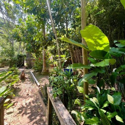 Casa Residencial com 80m², 3 quartos, 4 garagens, no bairro Campeche em Florianópolis