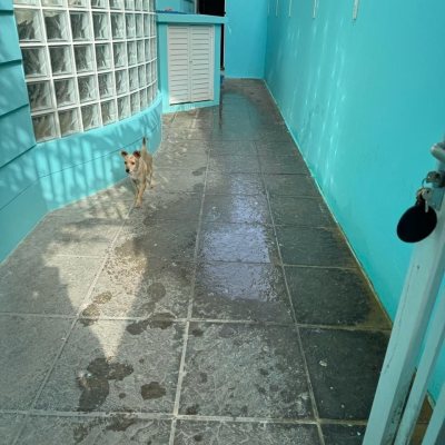 Casa Residencial com 269m², 3 quartos, 2 suítes, 6 garagens, no bairro Jurerê em Florianópolis