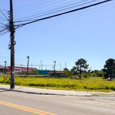 Terreno Comercial/Residencial com 3200m², no bairro São João Do Rio Vermelho em Florianópolis