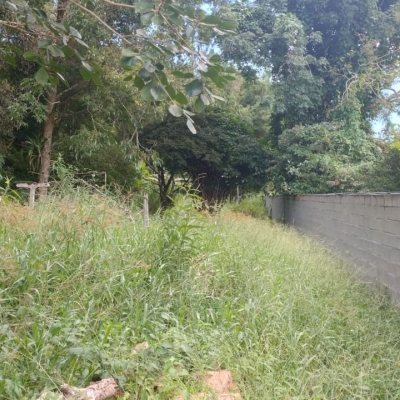 Terreno Comercial/Residencial com 3657m², no bairro Ratones em Florianópolis
