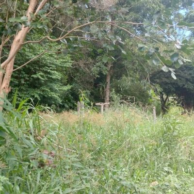 Terreno Comercial/Residencial com 3657m², no bairro Ratones em Florianópolis