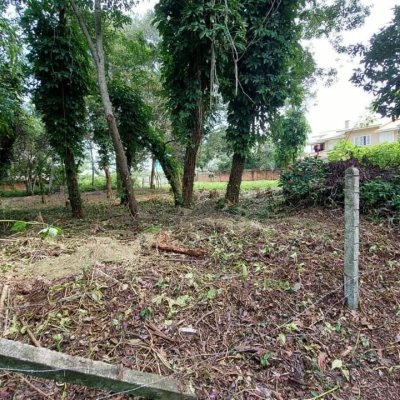 Terreno Comercial/Residencial com 754m², no bairro Campeche em Florianópolis