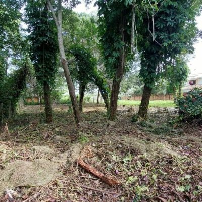 Terreno Comercial/Residencial com 754m², no bairro Campeche em Florianópolis