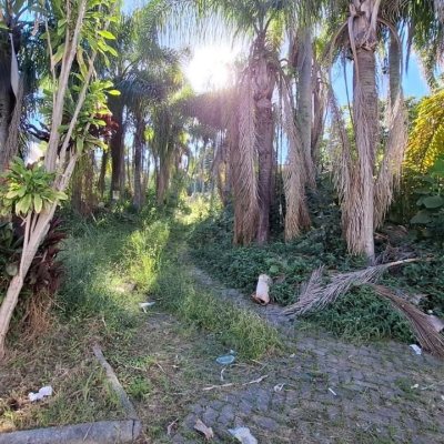 Terreno Comercial/Residencial com 4214m², no bairro Ponta De Baixo em São José