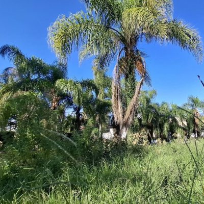 Terreno Comercial/Residencial com 4214m², no bairro Ponta De Baixo em São José