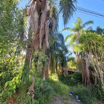 Terreno Comercial/Residencial com 4214m², no bairro Ponta De Baixo em São José