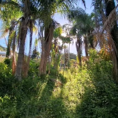 Terreno Comercial/Residencial com 4214m², no bairro Ponta De Baixo em São José