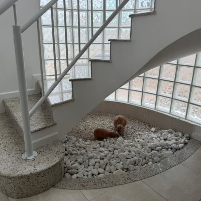Casa Residencial com 292m², 3 quartos (sendo 1 suíte), 3 garagens, no bairro Pedra Branca em Palhoça