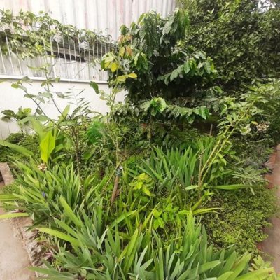 Apartamentos com 50m², 2 quartos, no bairro Roçado em São José