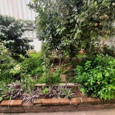 Apartamentos com 50m², 2 quartos, no bairro Roçado em São José