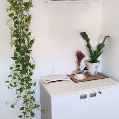 Apartamentos com 75m², 3 quartos, 1 garagem, no bairro Capoeiras em Florianópolis