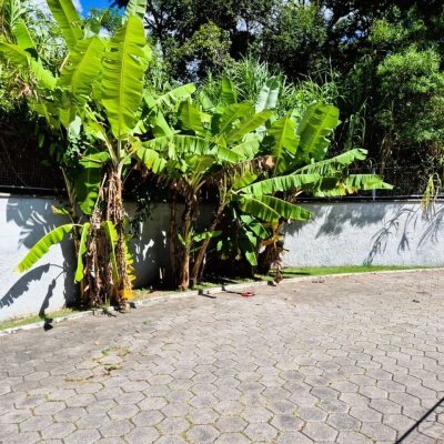 Apartamentos com 49m², 2 quartos, 1 garagem, no bairro Praia De Fora em Palhoça