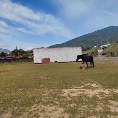 Terreno Comercial/Residencial com 3506m², no bairro Enseada do Brito (Ens Brito) em Palhoça
