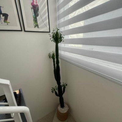 Sobrado Residencial com 207m², 3 quartos (sendo 3 suítes), 2 garagens, no bairro Córrego Grande em Florianópolis