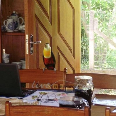 Sitio com 210m², 3 quartos (sendo 2 suítes), 10 garagens, no bairro Ratones em Florianópolis