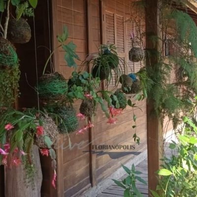 Sitio com 210m², 3 quartos (sendo 2 suítes), 10 garagens, no bairro Ratones em Florianópolis