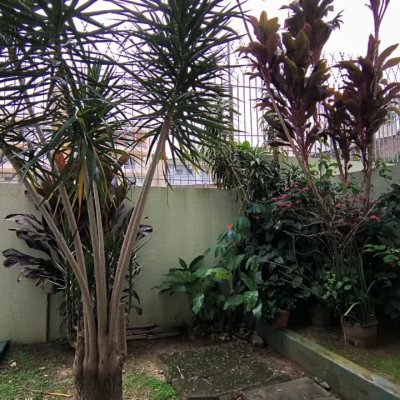 Cobertura com 189m², 3 quartos (sendo 1 suíte), 1 garagem, no bairro Capoeiras em Florianópolis