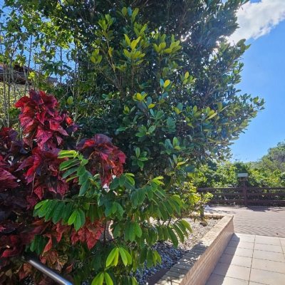 Casa Residencial com 288m², 6 quartos (sendo 2 suítes), 2 garagens, no bairro Praia Brava em Florianópolis