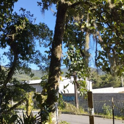 Terrenos Residenciais com 1061m², no bairro Ratones em Florianópolis