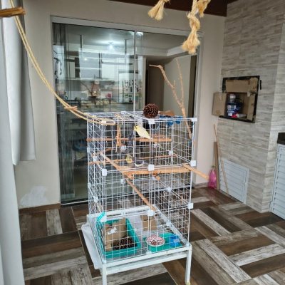 Cobertura com 103m², 3 quartos (sendo 1 suíte), 1 garagem, no bairro Ingleses do Rio Vermelho em Florianópolis