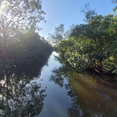 Terrenos Residenciais com 7200m², no bairro Ratones em Florianópolis