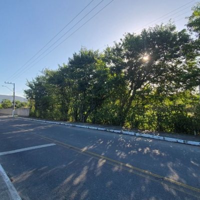 Terrenos Residenciais com 7200m², no bairro Ratones em Florianópolis