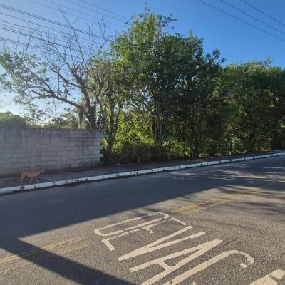 Terrenos Residenciais com 7200m², no bairro Ratones em Florianópolis