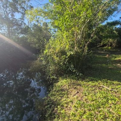 Terrenos Residenciais com 7200m², no bairro Ratones em Florianópolis