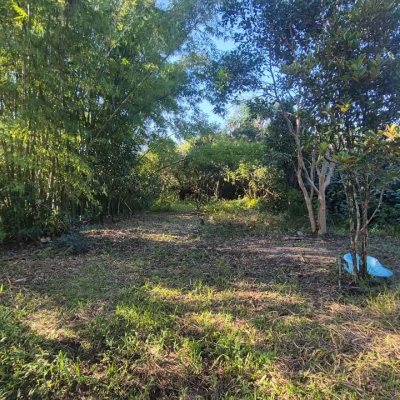 Terrenos Residenciais com 7200m², no bairro Ratones em Florianópolis