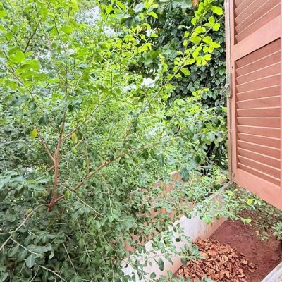 Casa Residencial com 160m², 3 quartos, 2 garagens, no bairro Ingleses do Rio Vermelho em Florianópolis