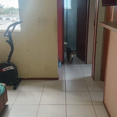 Apartamentos com 44m², 2 quartos, 1 garagem, no bairro Aririu em Palhoça
