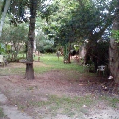 Terreno Comercial/Residencial com 867m², no bairro Canasvieiras em Florianópolis