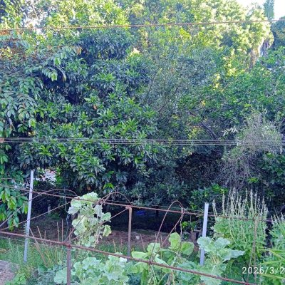 Casa em Condomínio com 301m², 4 quartos, 2 suítes, 2 garagens, no bairro Bosque Das Mansões em São José