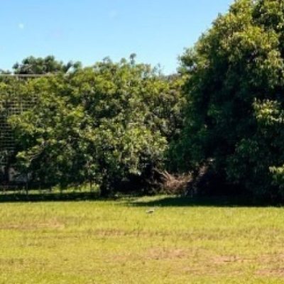 Casa Residencial com 119m², 3 quartos, 1 suíte, 2 garagens, no bairro Campeche em Florianópolis