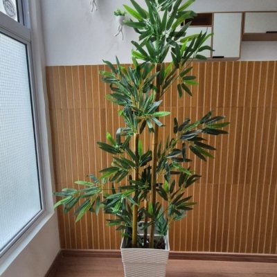 Apartamentos com 43m², 2 quartos, 1 garagem, no bairro Forquilhas em São José