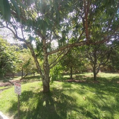 Casa Residencial com 270m², 4 quartos, 4 suítes, 2 garagens, no bairro Coqueiros em Florianópolis