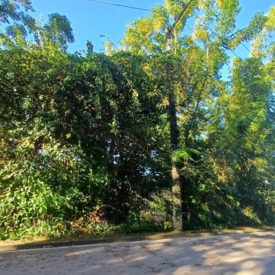 Terreno Comercial/Residencial com 1125m², no bairro Estreito em Florianópolis