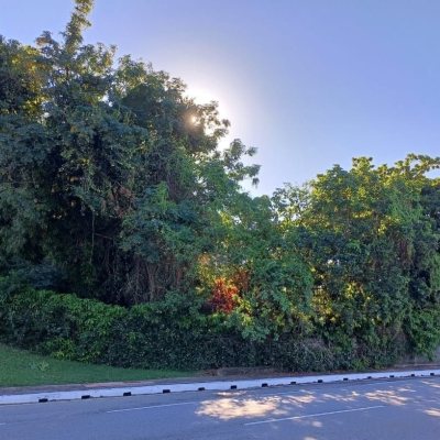 Terreno Comercial/Residencial com 1125m², no bairro Estreito em Florianópolis