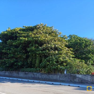 Terreno Comercial/Residencial com 1125m², no bairro Estreito em Florianópolis