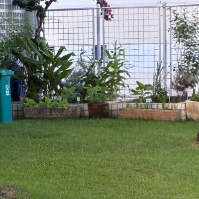 Apartamentos com 116m², 3 quartos (sendo 1 suíte), 2 garagens, no bairro Parque São Jorge em Florianópolis