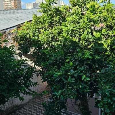 Casa Residencial com 241m², 3 quartos, 1 suíte, 3 garagens, no bairro barreiros em São José