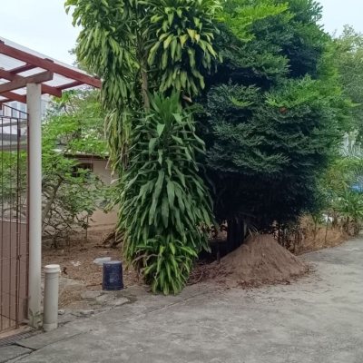 Terreno Comercial/Residencial com 2425m², no bairro Ponte Do Imaruim em Palhoça