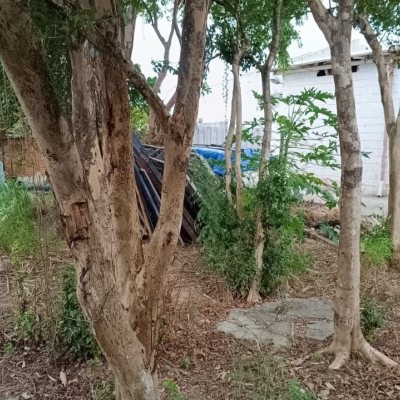 Terreno Comercial/Residencial com 2425m², no bairro Ponte Do Imaruim em Palhoça