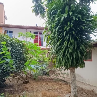 Terreno Comercial/Residencial com 2425m², no bairro Ponte Do Imaruim em Palhoça