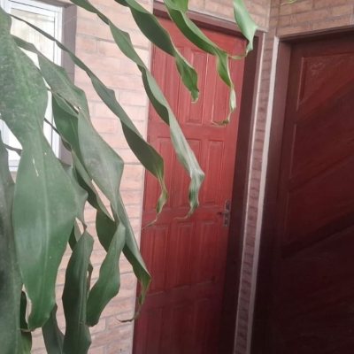 Casa Residencial com 95m², 4 quartos, 1 suíte, 1 garagem, no bairro Centro em Florianópolis